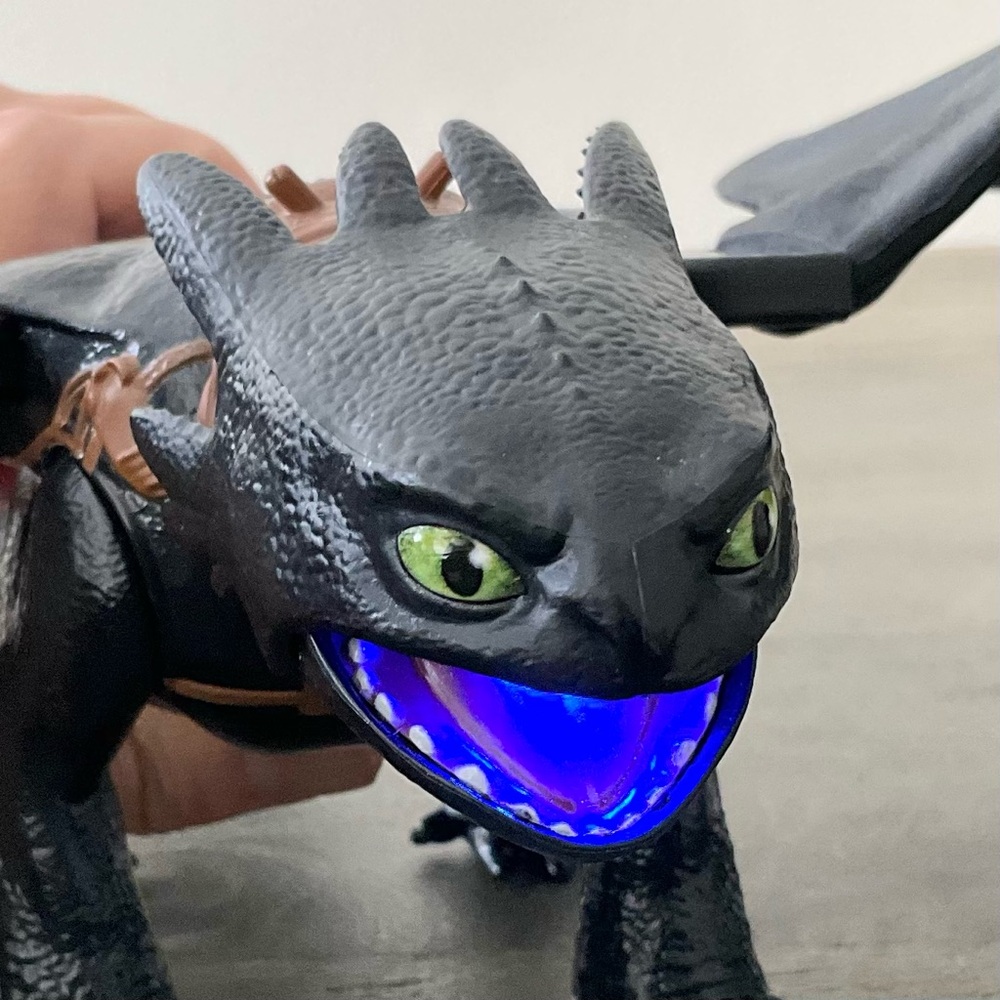 Httyd - Picture 5 of 5